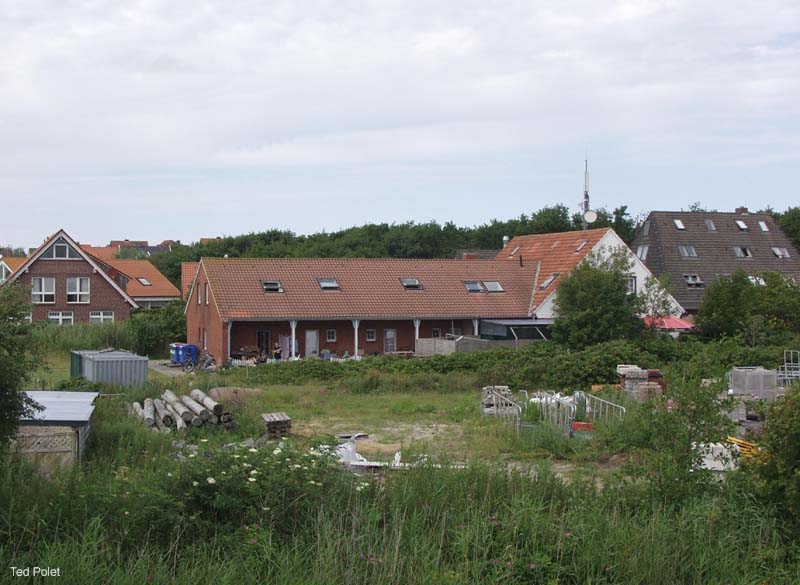 P7145394
