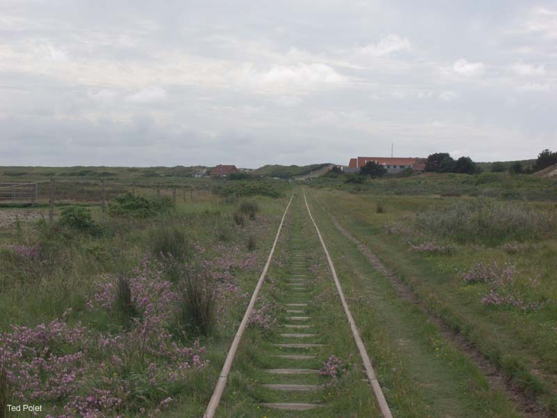 P7145402