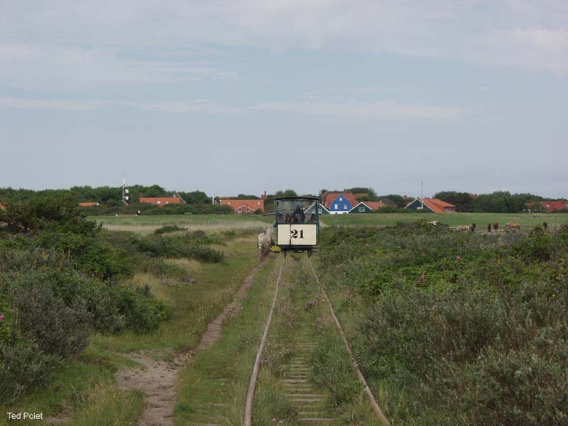 P7145407