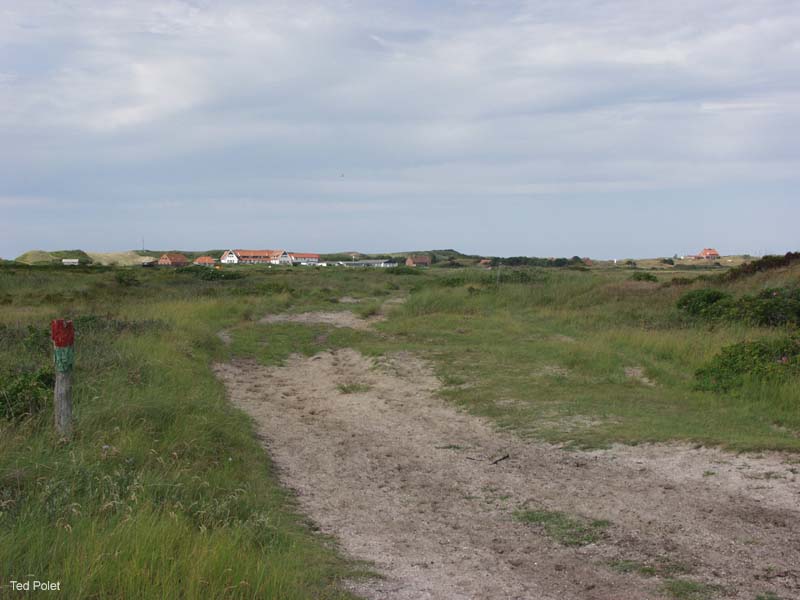 P7145413