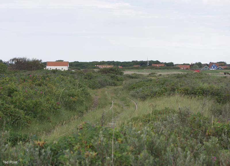 P7145416