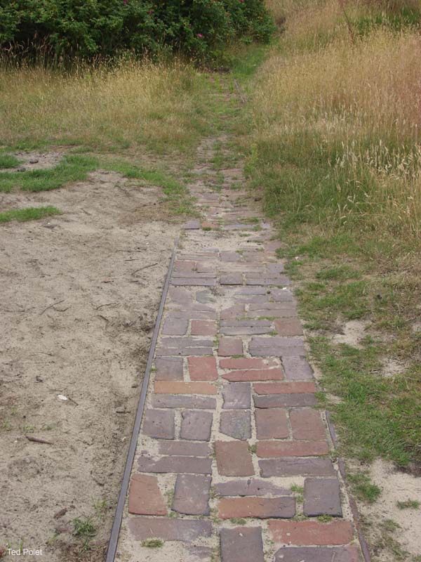 P7155434