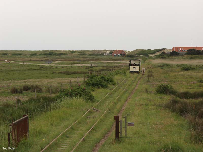 P7155438