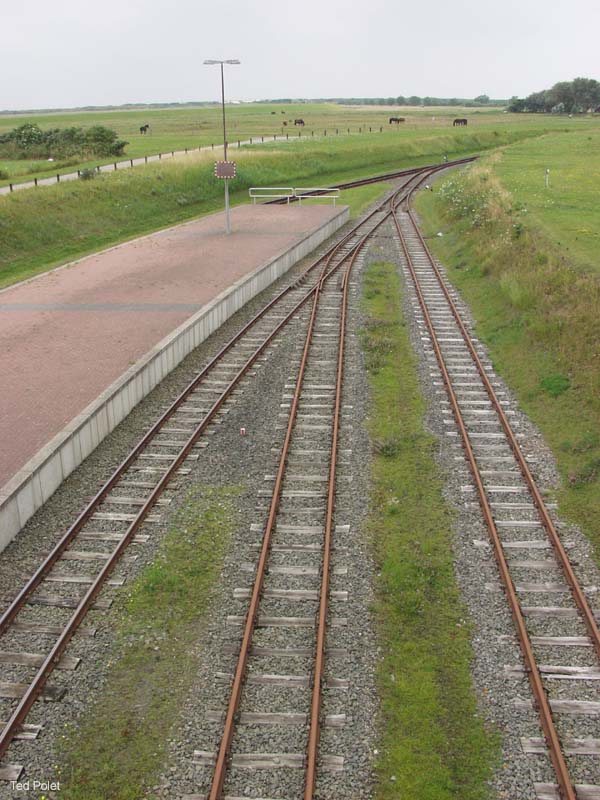 P7175472